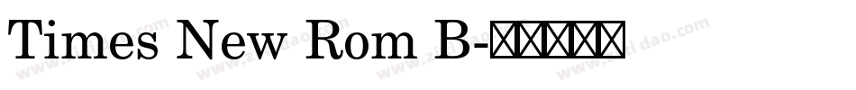 Times New Rom B字体转换